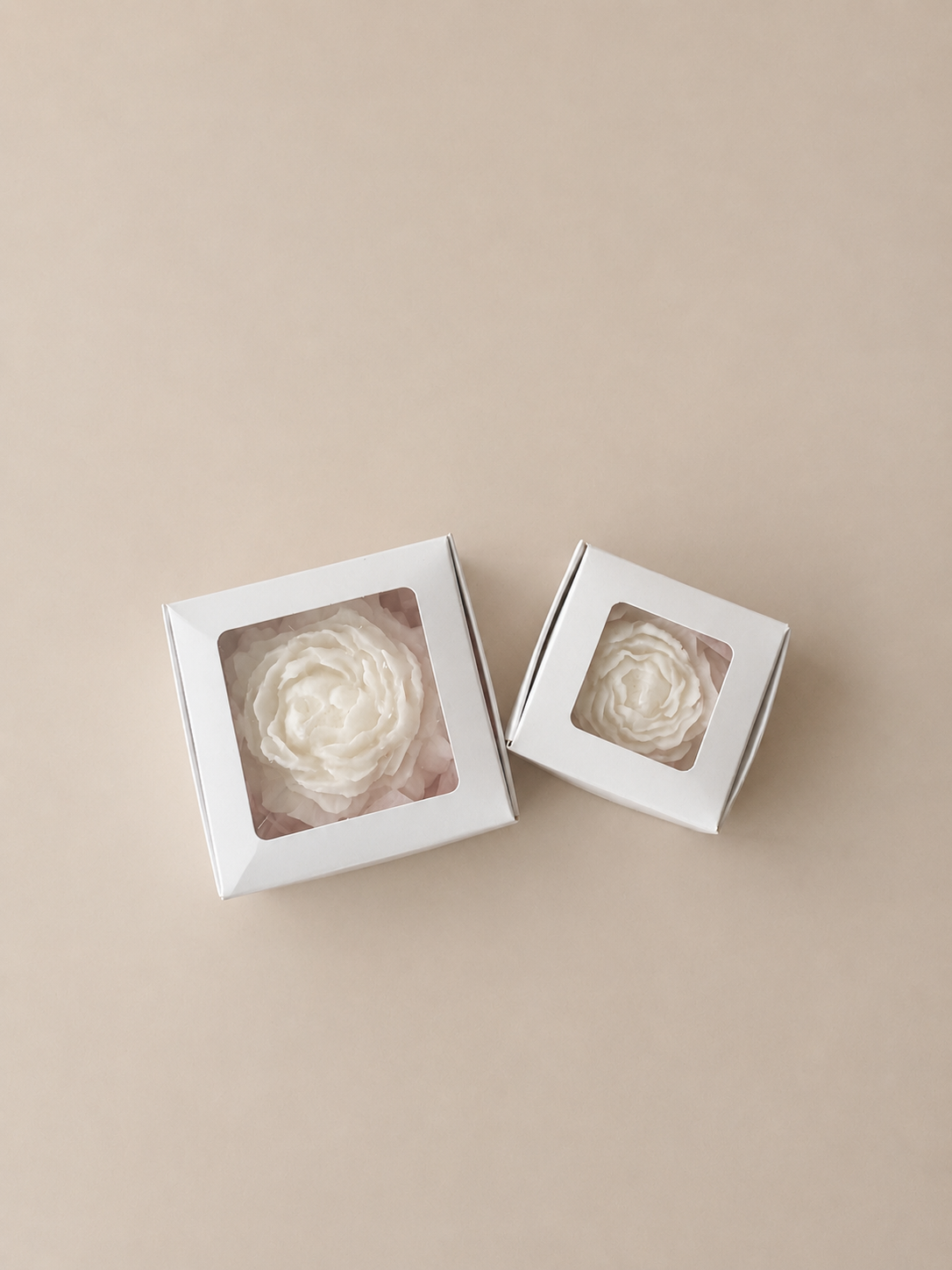 Mini Peony - Gastgeschenk