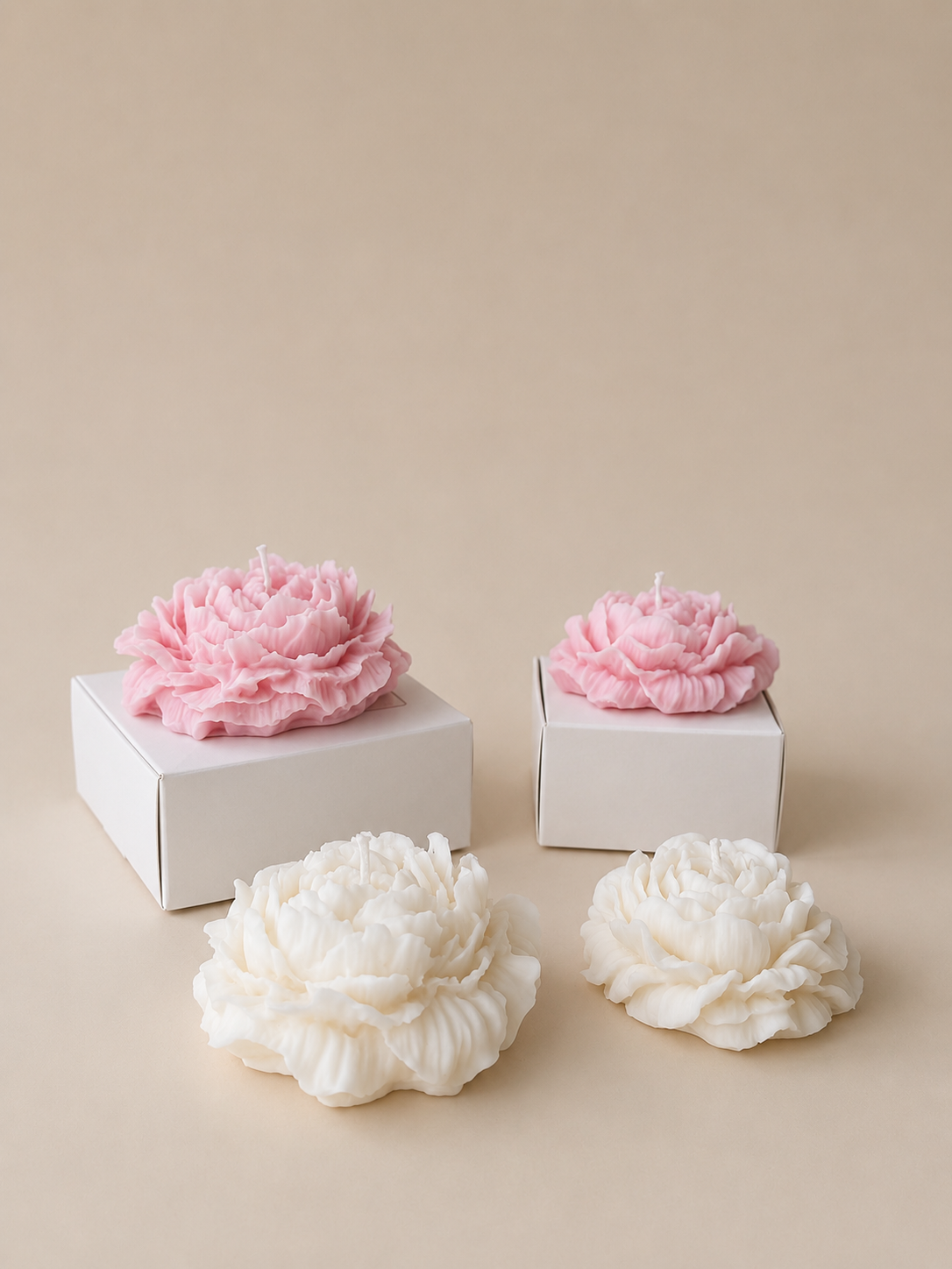 Mini Peony - Gastgeschenk